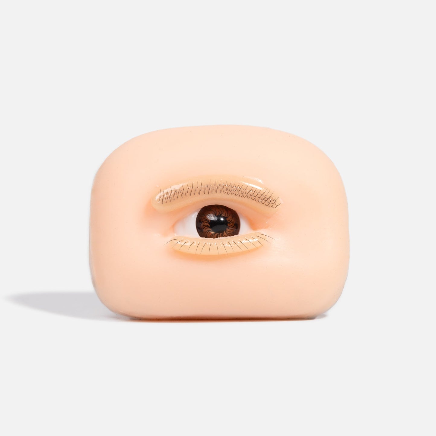 Eye Practice Model