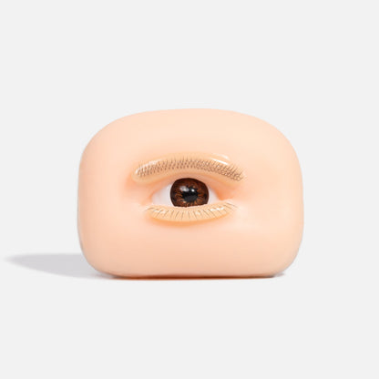 Eye Practice Model