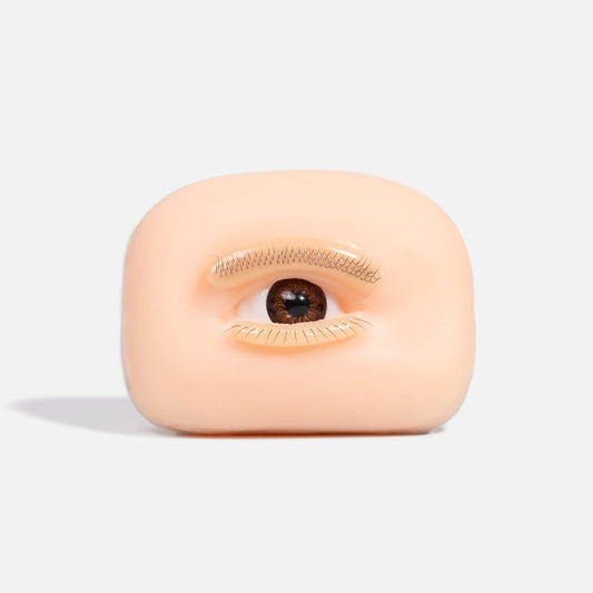 Eye Practice Model